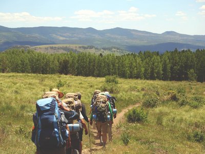 Wandergruppe auf Bergpfad