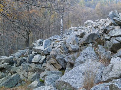 Leadership-Wanderung